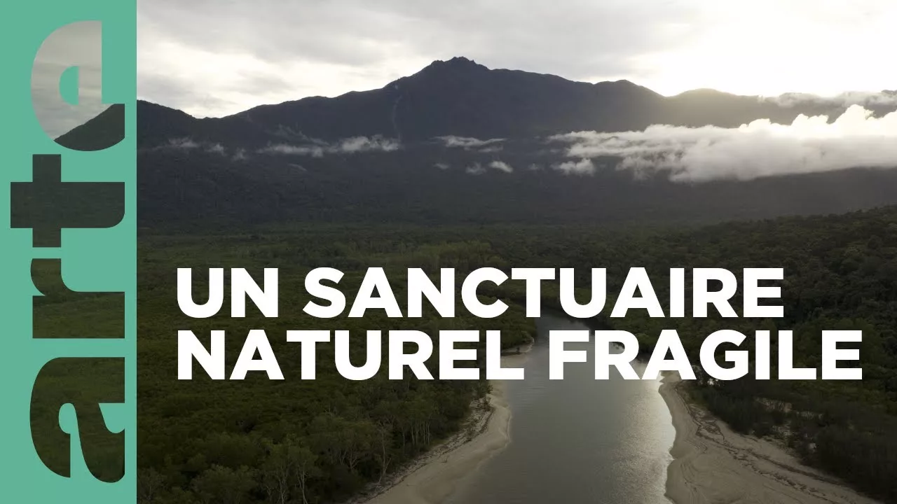 Daintree, l'Australie des origines | Merveilles de la nature