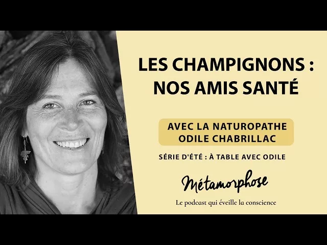 Documentaire Les champignons : nos amis santé