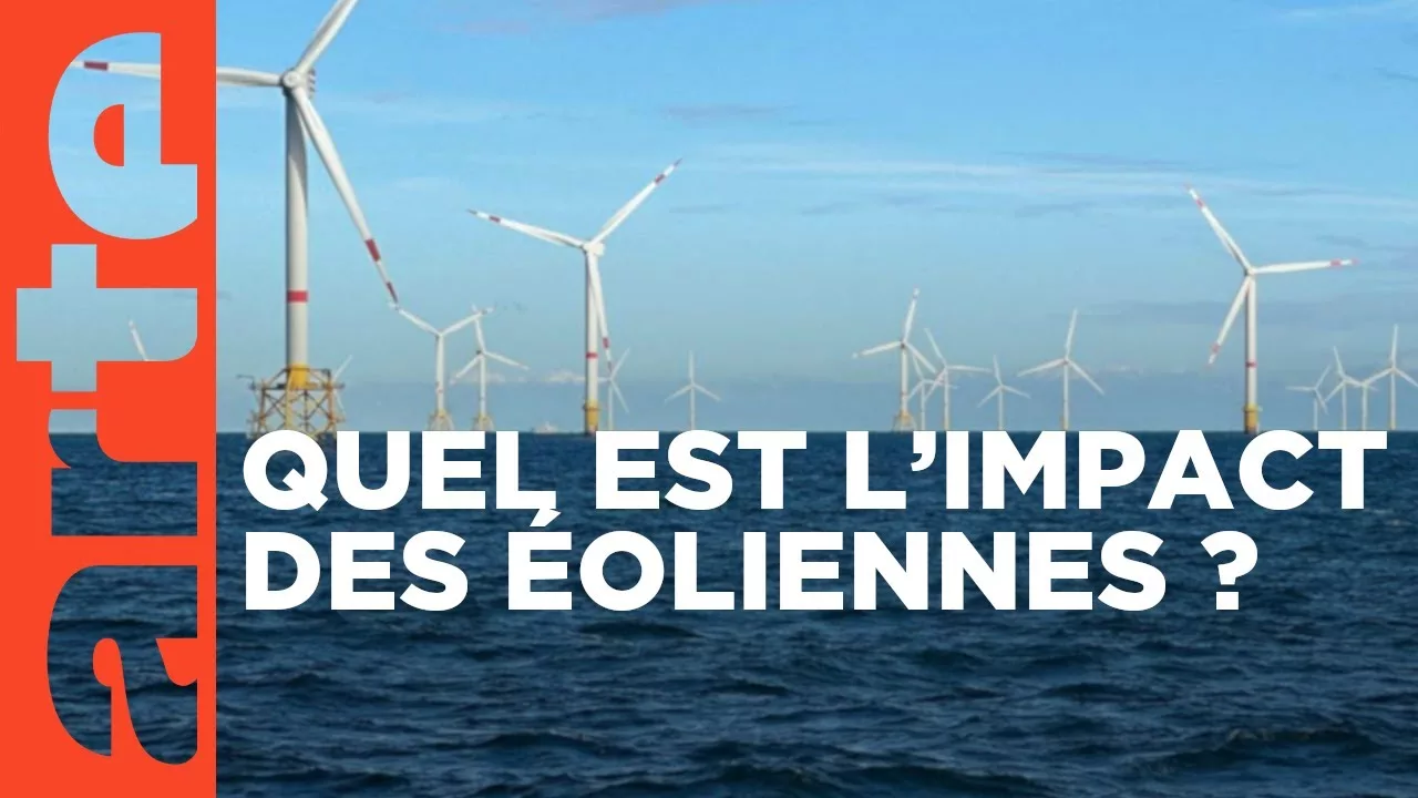 Les éoliennes en mer, quelle cohabitation avec la nature ?