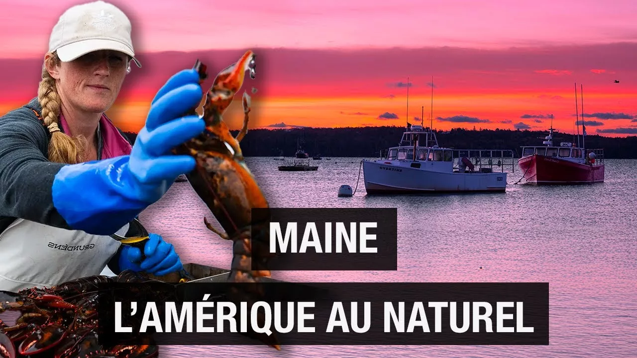 Documentaire Maine : l’Amérique au naturel