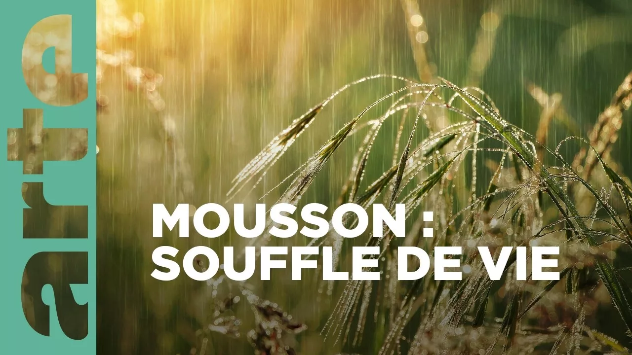 Mousson, le souffle providentiel