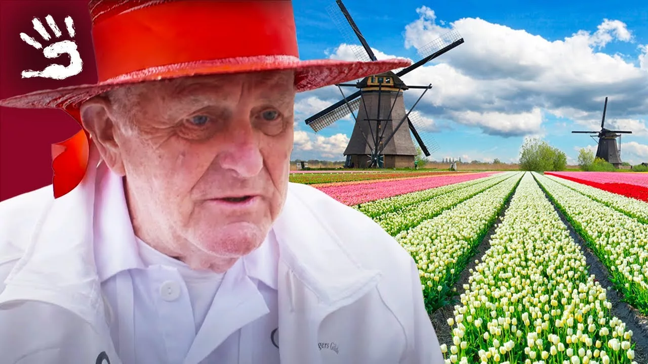 Documentaire Pays-Bas :  la route des fleurs