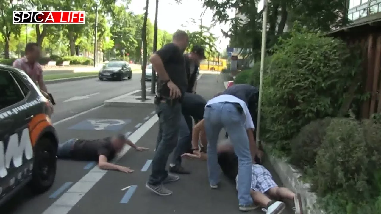 Police aux frontières : trafics et faux-papiers