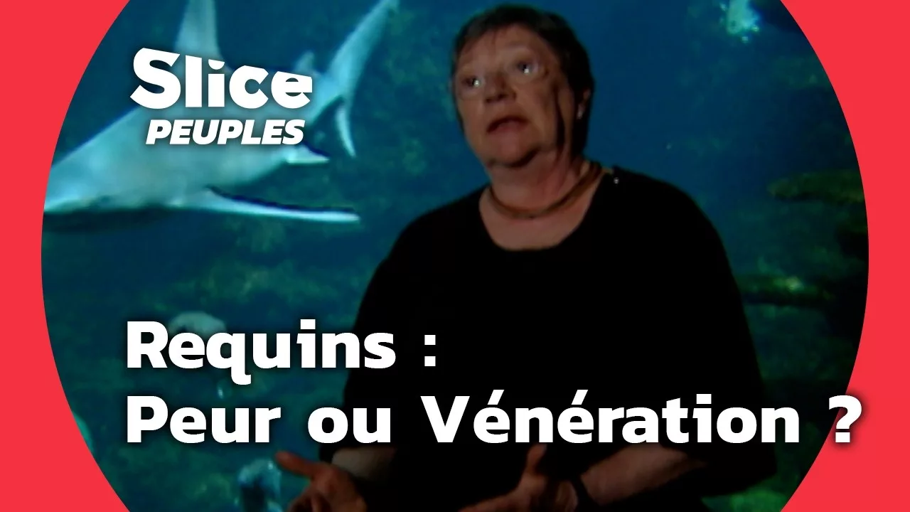 Requins : monstre ou dieu ? Voyage à travers les mythes