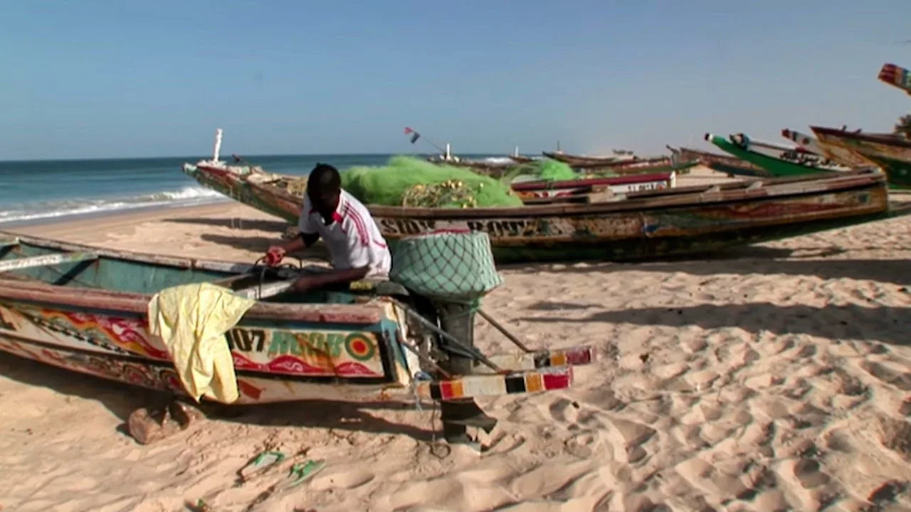 Sénégal, un réveil dépaysant