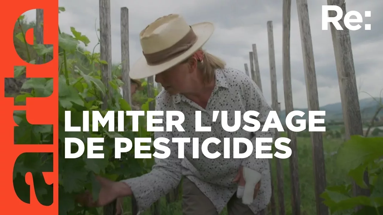 Vers une agriculture sans pesticides