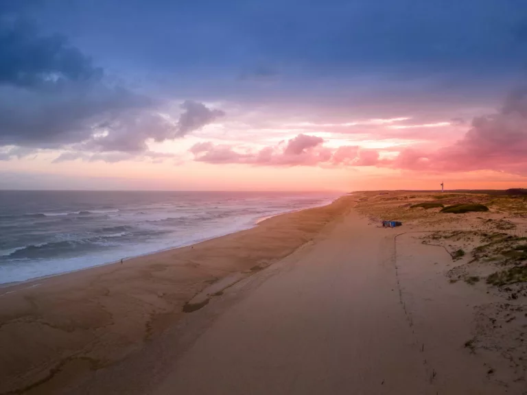 Article | Découvrir les Landes à vélo : une aventure inoubliable