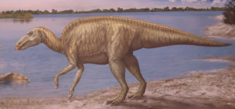 Article | Edmontosaurus : un dinosaure emblématique de la période du Crétacé