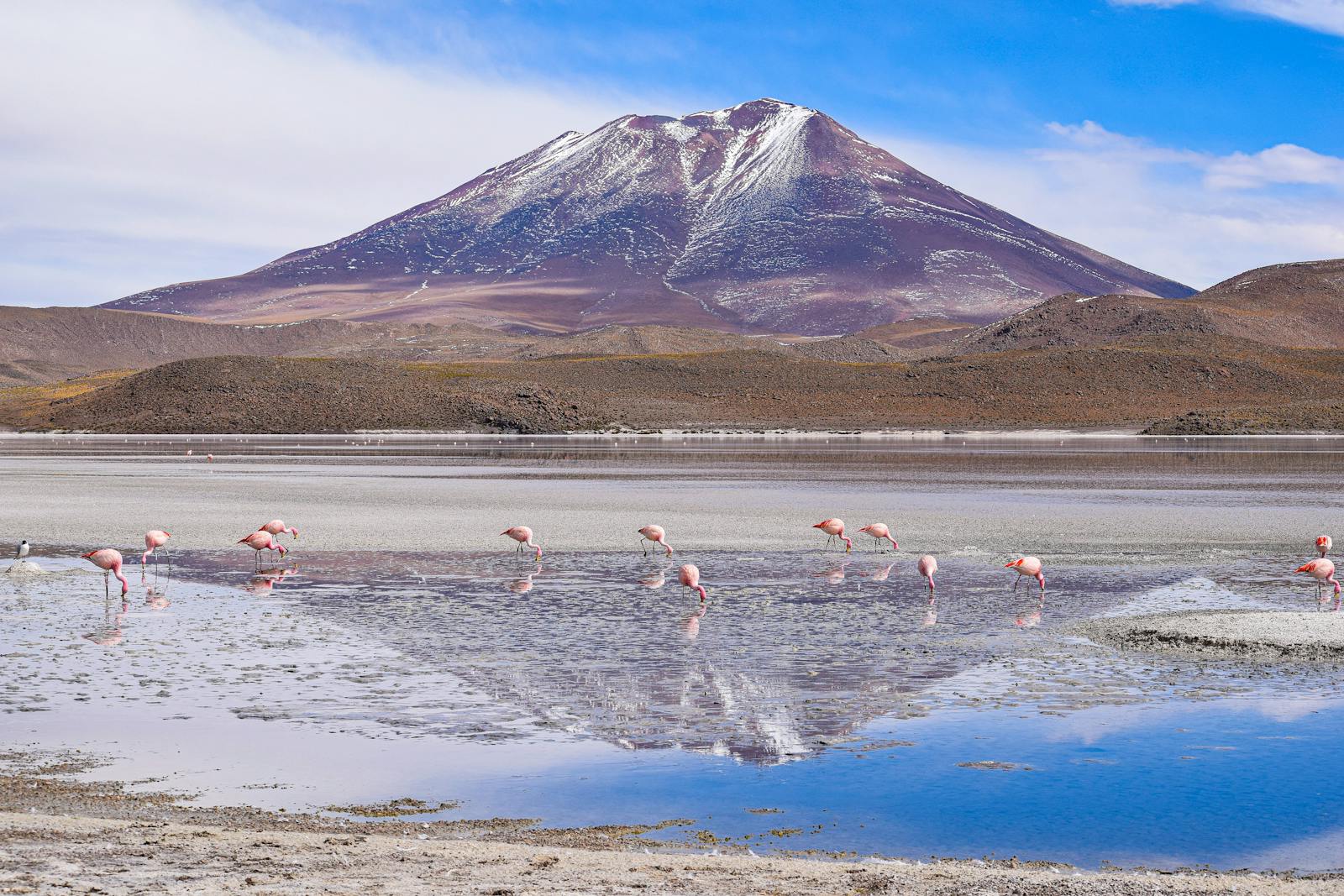 La Bolivie est une destination fascinante qui offre une riche diversité de paysages naturels, une culture vibrante et des expériences uniques, allant des sommets andins aux profondeurs de l'Amazonie.