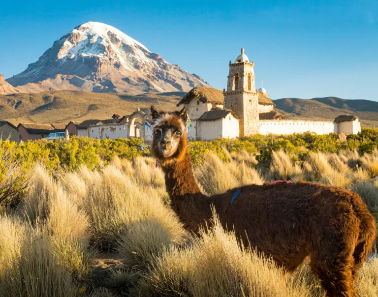 Article | Que faire en Bolivie ?