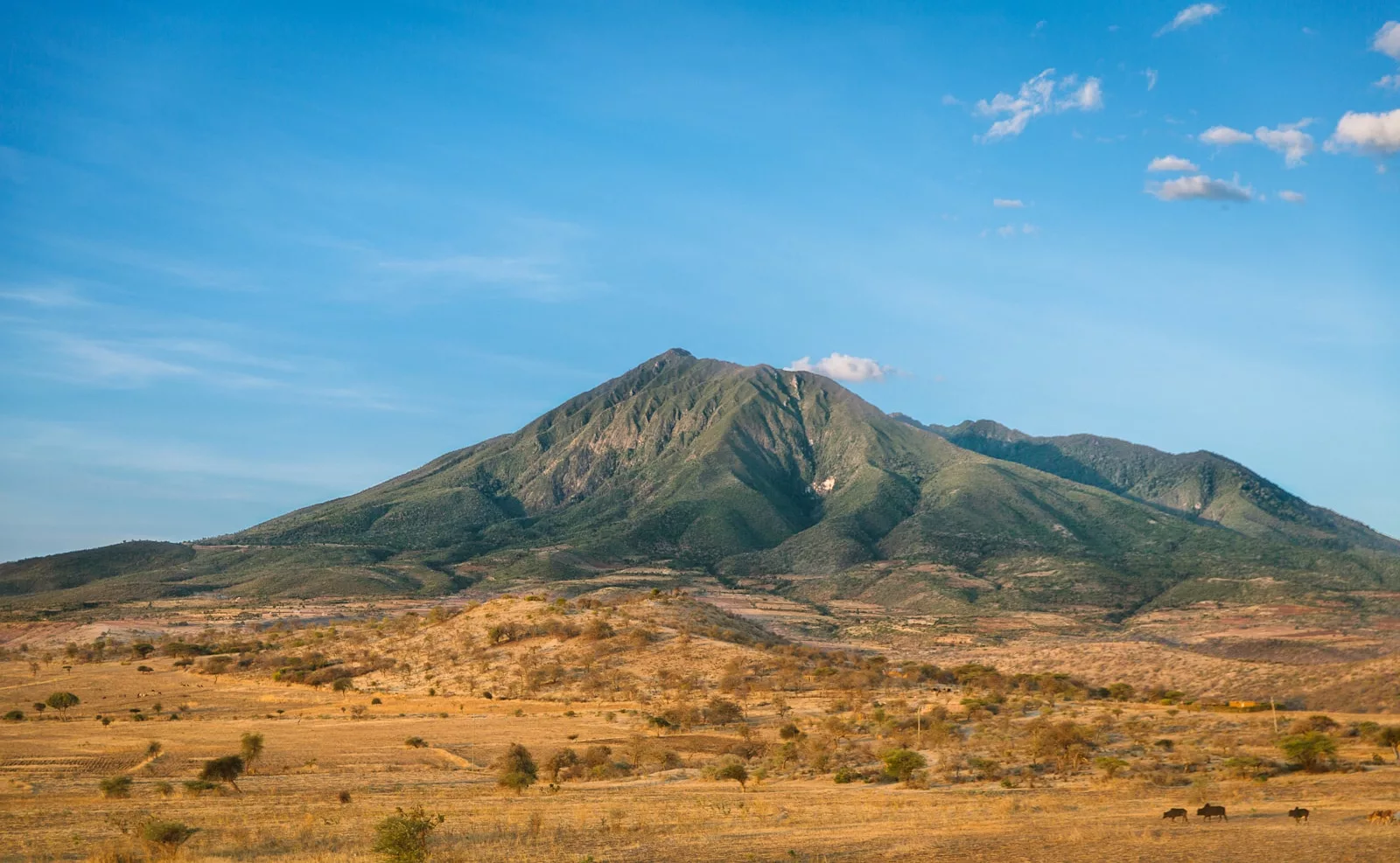 Documentaire Que ramener de Tanzanie ?