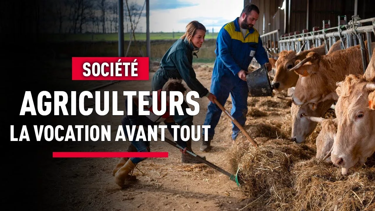 Agriculteurs en France : entre passion et colère