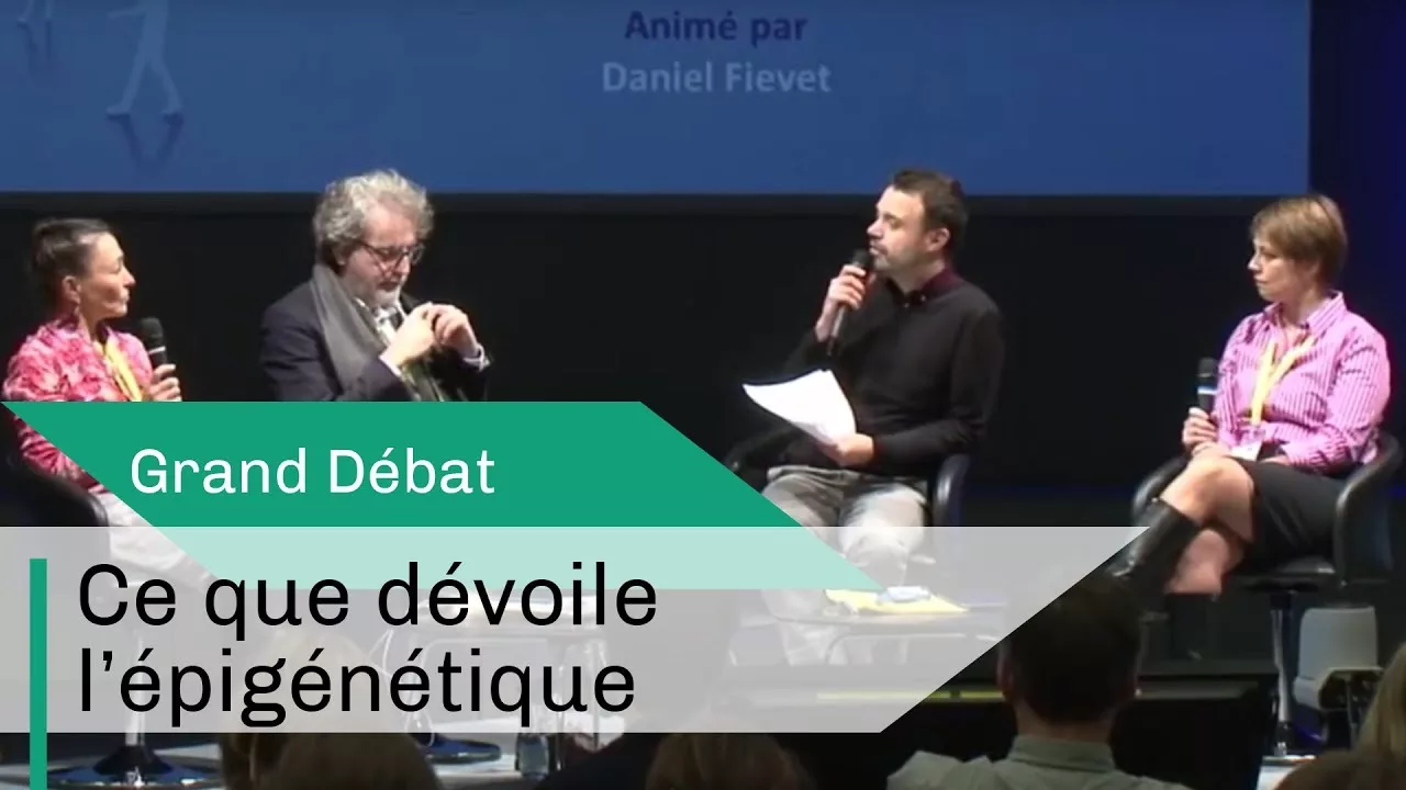 Comportement, mémoire : ce que devoile l'épigénétique