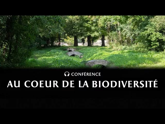 Au cœur de la biodiversité du domaine de Versailles