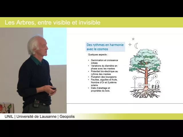 Les arbres entre visible et invisible