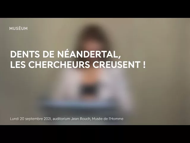 Dents de Néandertal : les chercheurs creusent !