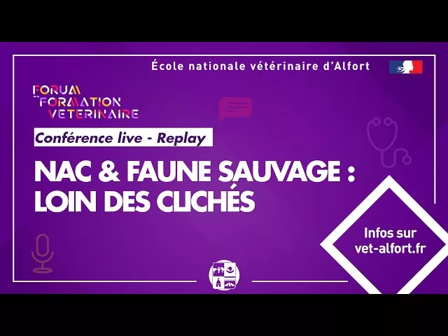 Documentaire Faune sauvage et NAC : loin des clichés