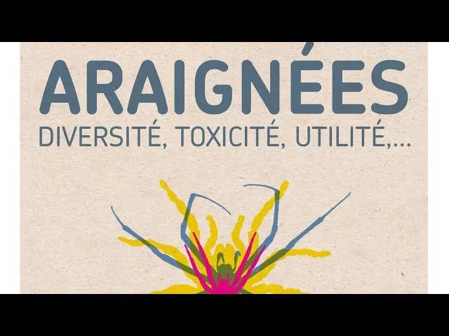 Documentaire Araignées : diversité, toxicité, utilité,…