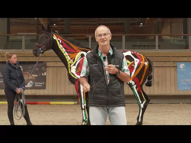 Documentaire Anatomie et biomécanique du cheval en mouvement