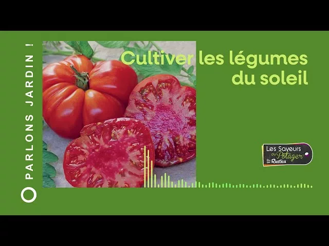 Cultiver les légumes du soleil