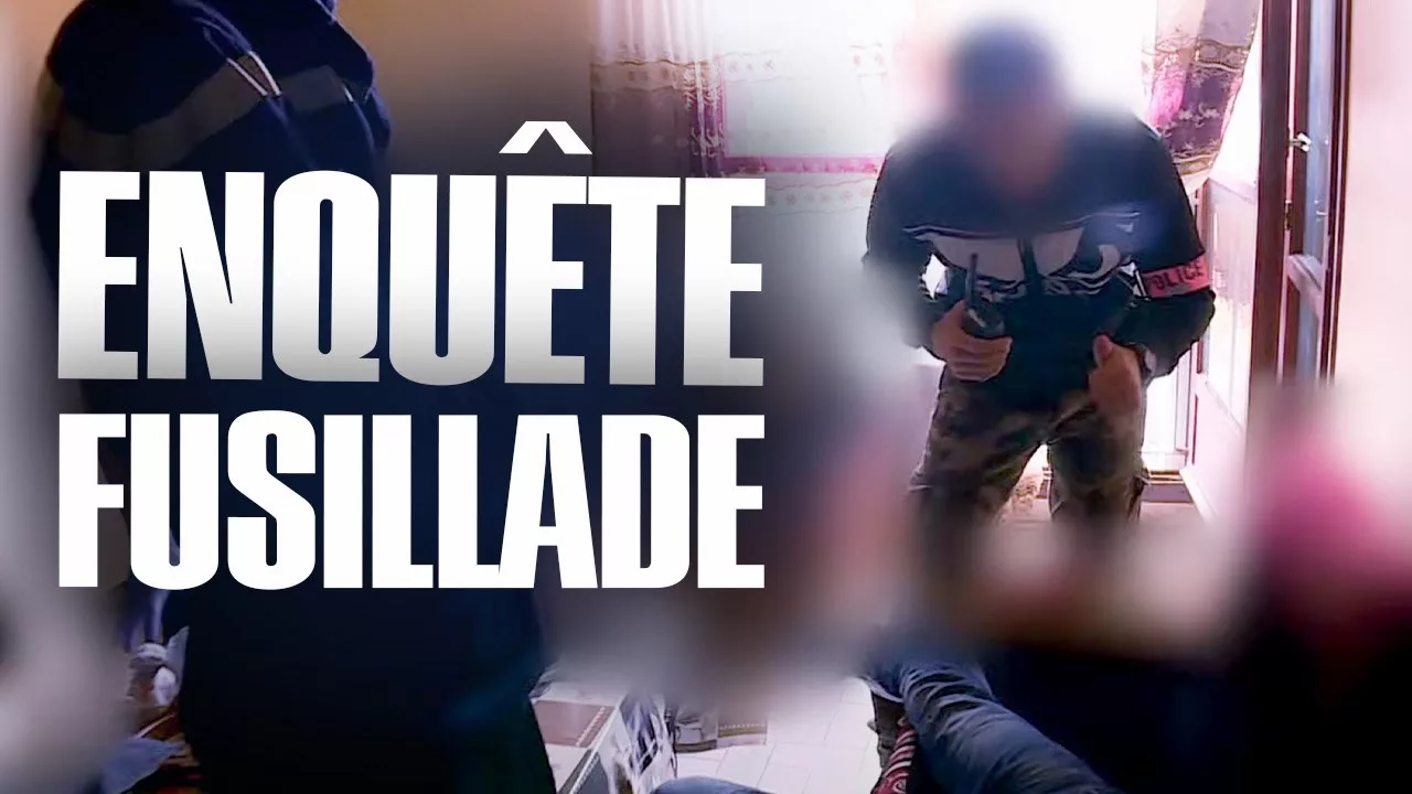 La police intervient après une fusillade - Flics, leur vie en direct