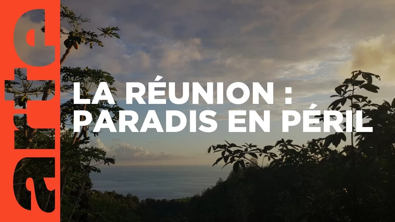 Laboratoire de l'évolution - L'île de La Réunion