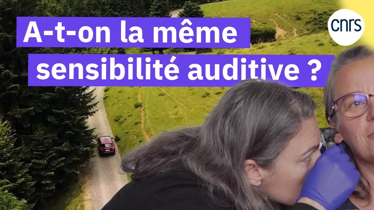 Documentaire L’audition dans tous ses états