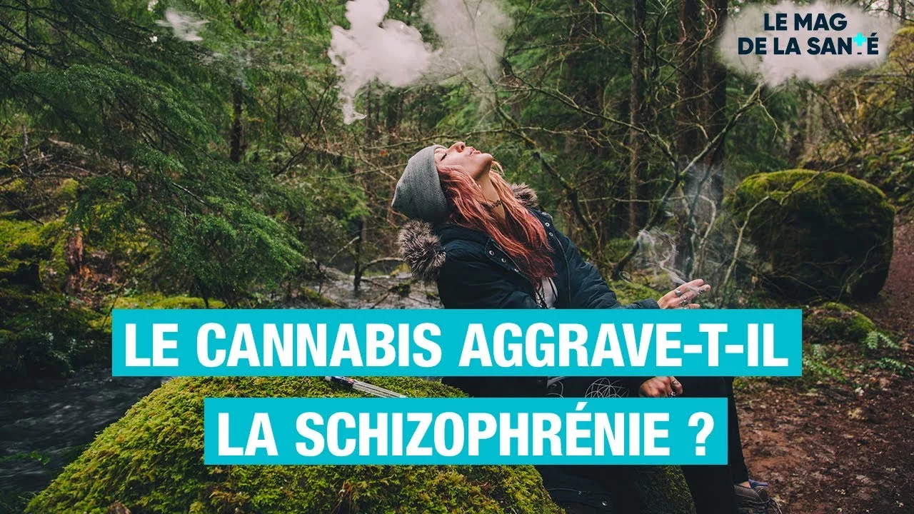 Lien entre cannabis et schizophrénie ?