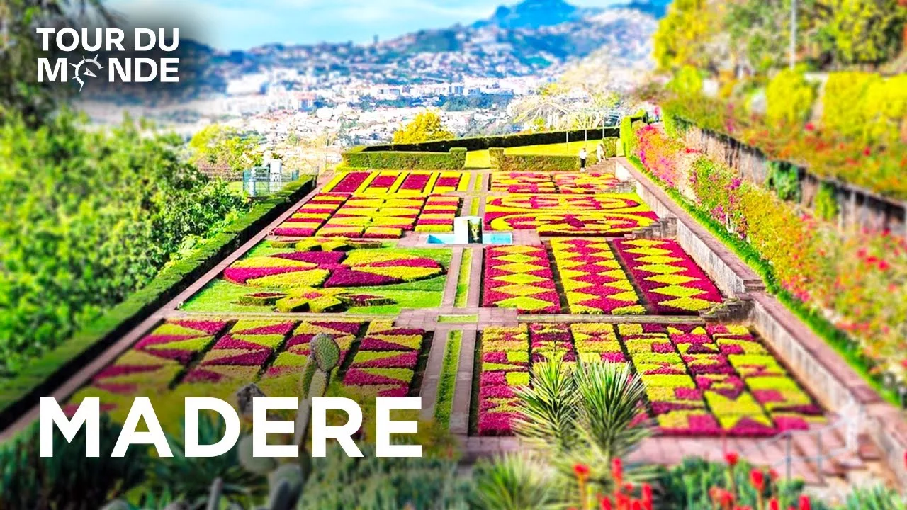 Madère : fabuleuse île Jardin au cœur de l'Atlantique