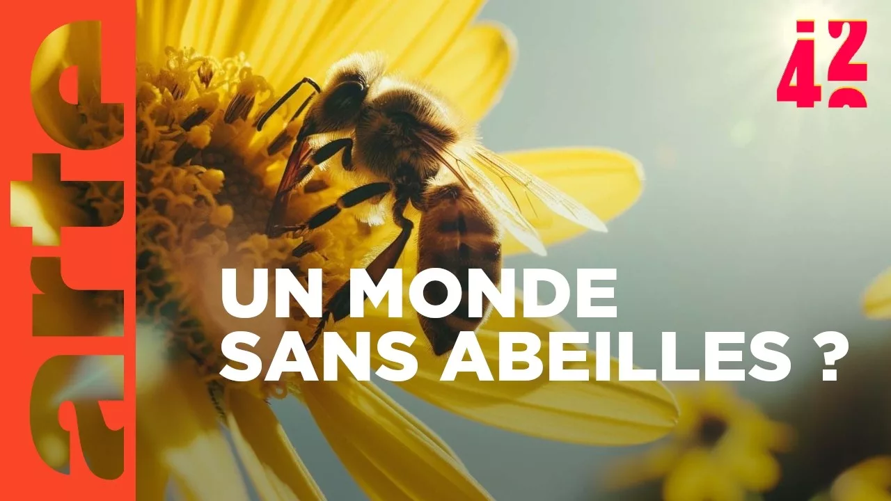 Peut-on remplacer les pollinisateurs ?