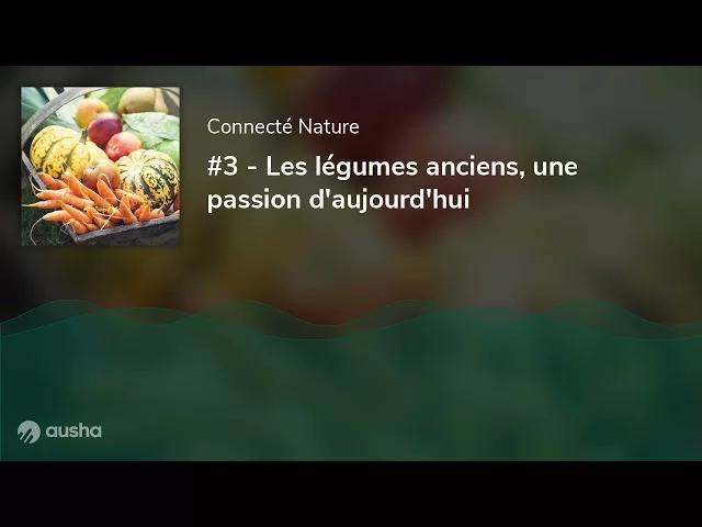 Les légumes anciens, une passion d'aujourd'hui