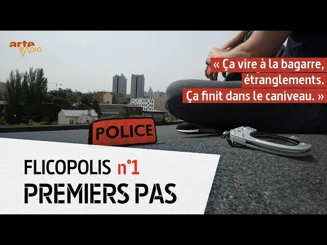 Premiers pas - Flicopolis