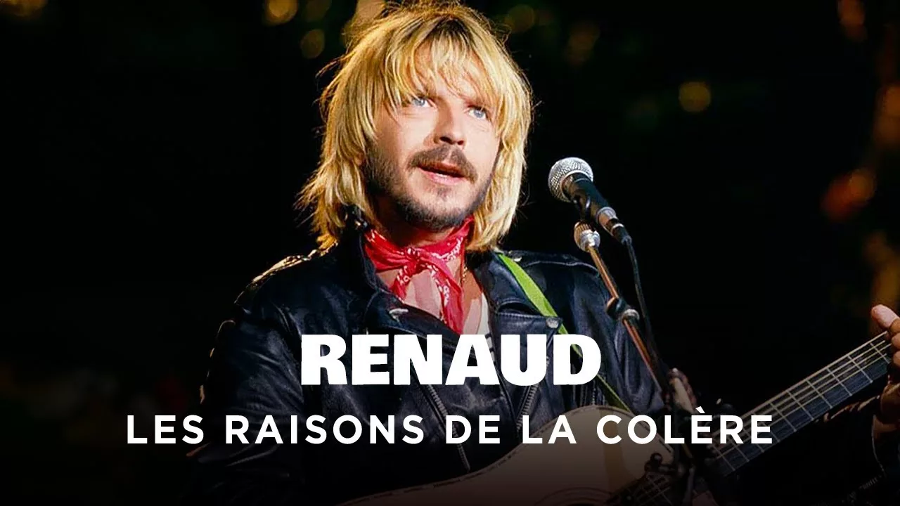 Documentaire Renaud, les raisons de la colère