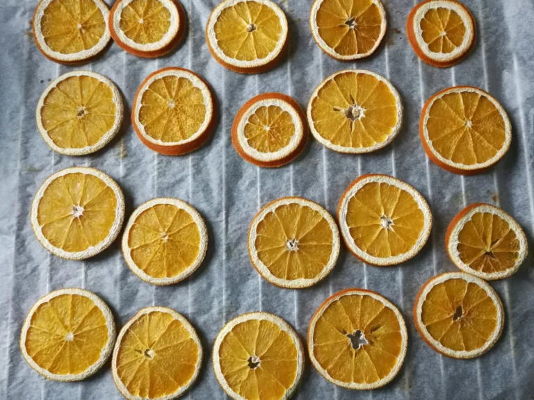 Article | Comment faire des oranges séchées ?