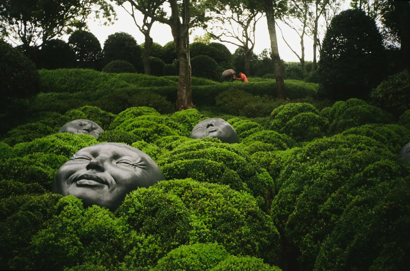 En deux jours à Étretat, vous pourrez explorer les célèbres falaises, visiter des jardins artistiques, découvrir la maison d'Arsène Lupin, et profiter d'activités nautiques ou de moments de détente.