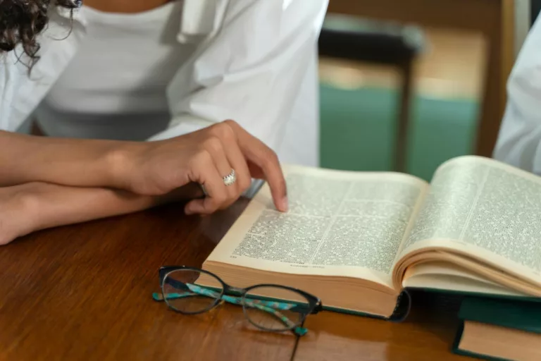 Article | Le dictionnaire : histoire d’un livre à succès