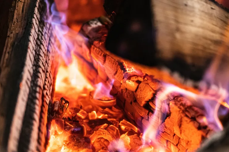 Article | Pourquoi le bois « pète » dans la cheminée ?