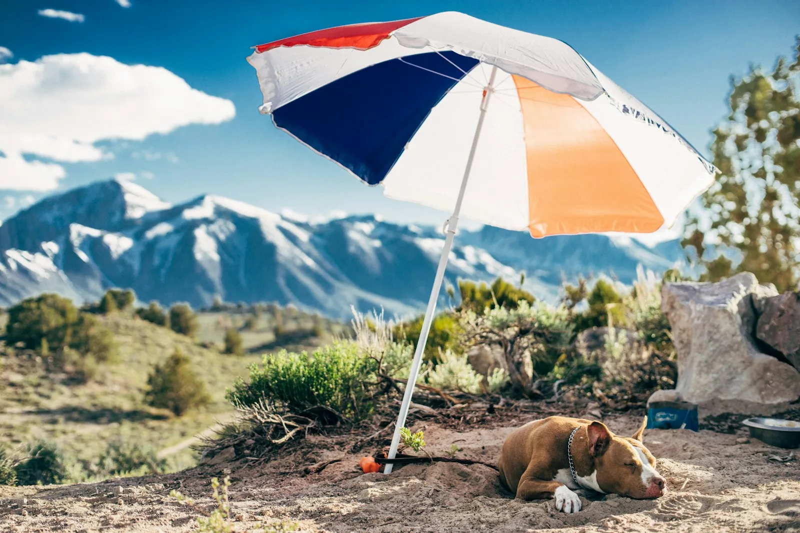 Quel parasol choisir pour son extérieur ?