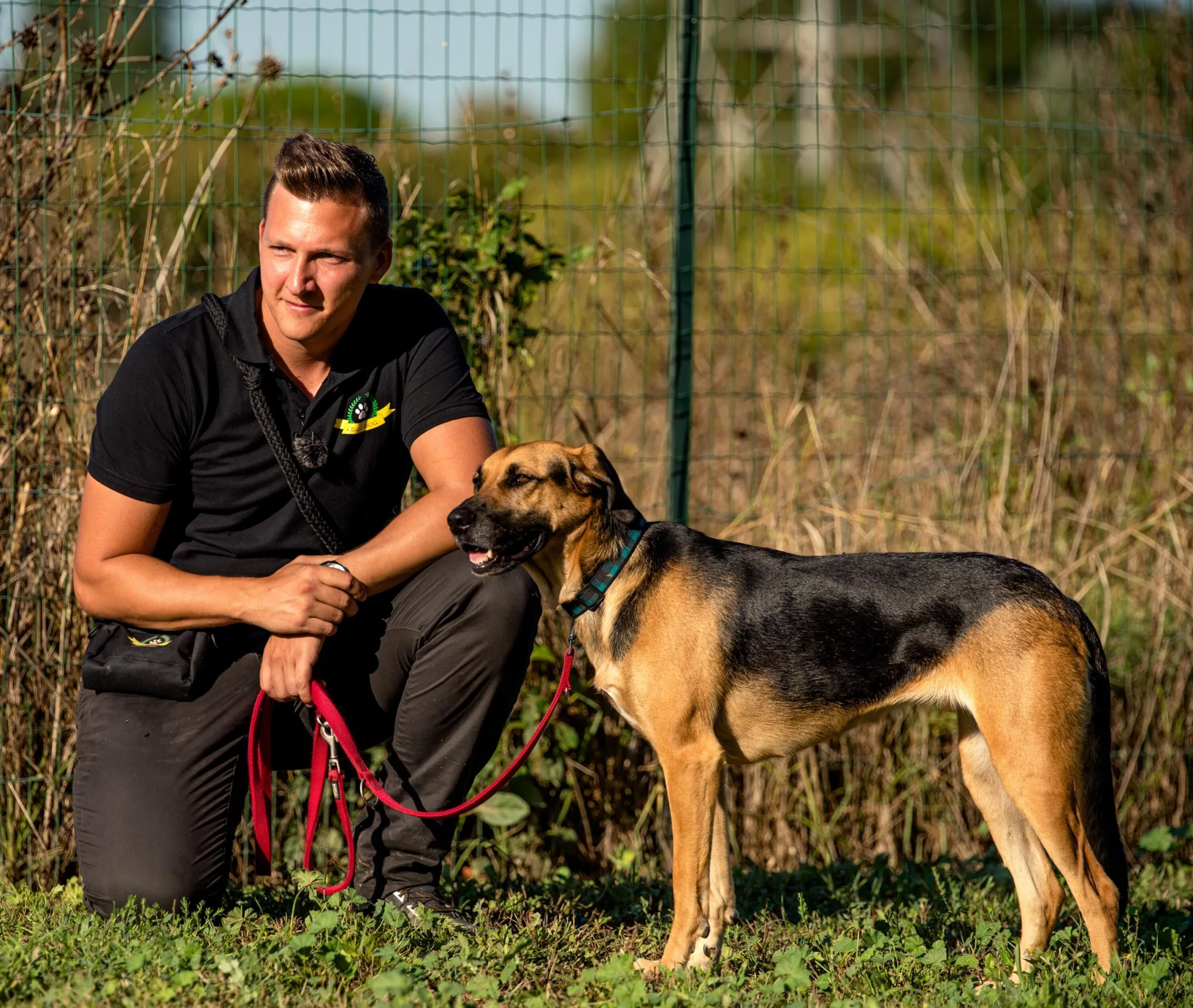 Pourquoi suivre une formation éducateur canin est essentiel pour devenir un expert en éducation canine ?