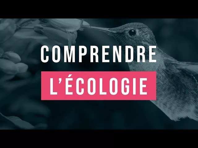 Documentaire 15 minutes pour comprendre facilement l’écologie