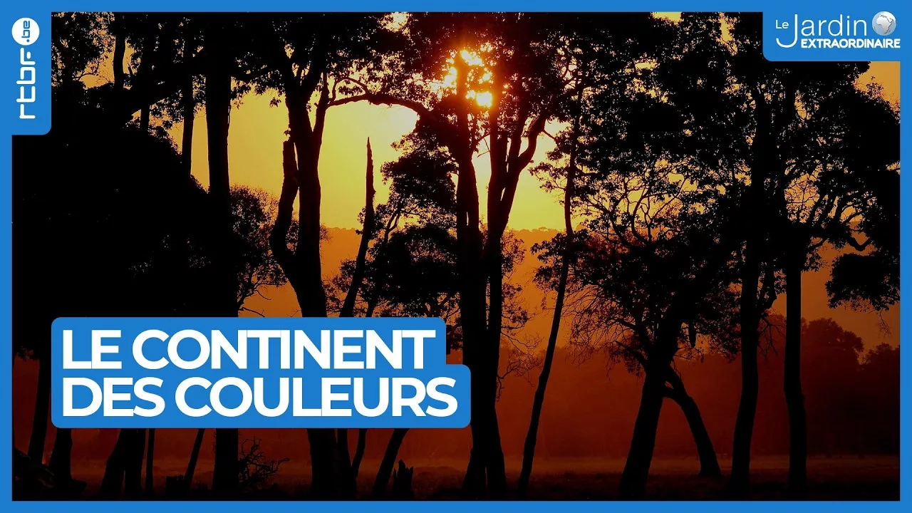 Afrique : le continent des couleurs