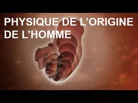 Documentaire Physique de l’origine de l’homme