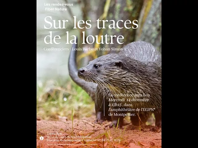 Sur les traces de la loutre