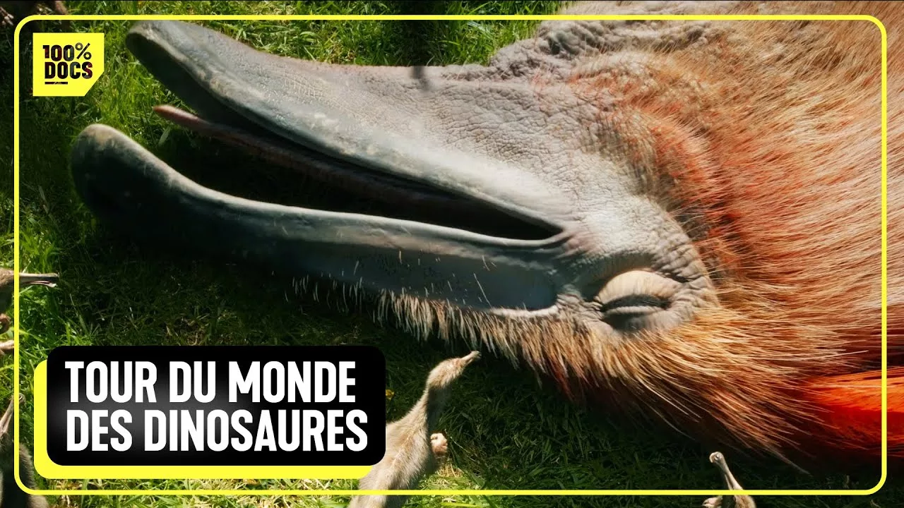 Documentaire Découvrez la vie de Nikki, le dinosaure de Mongolie !