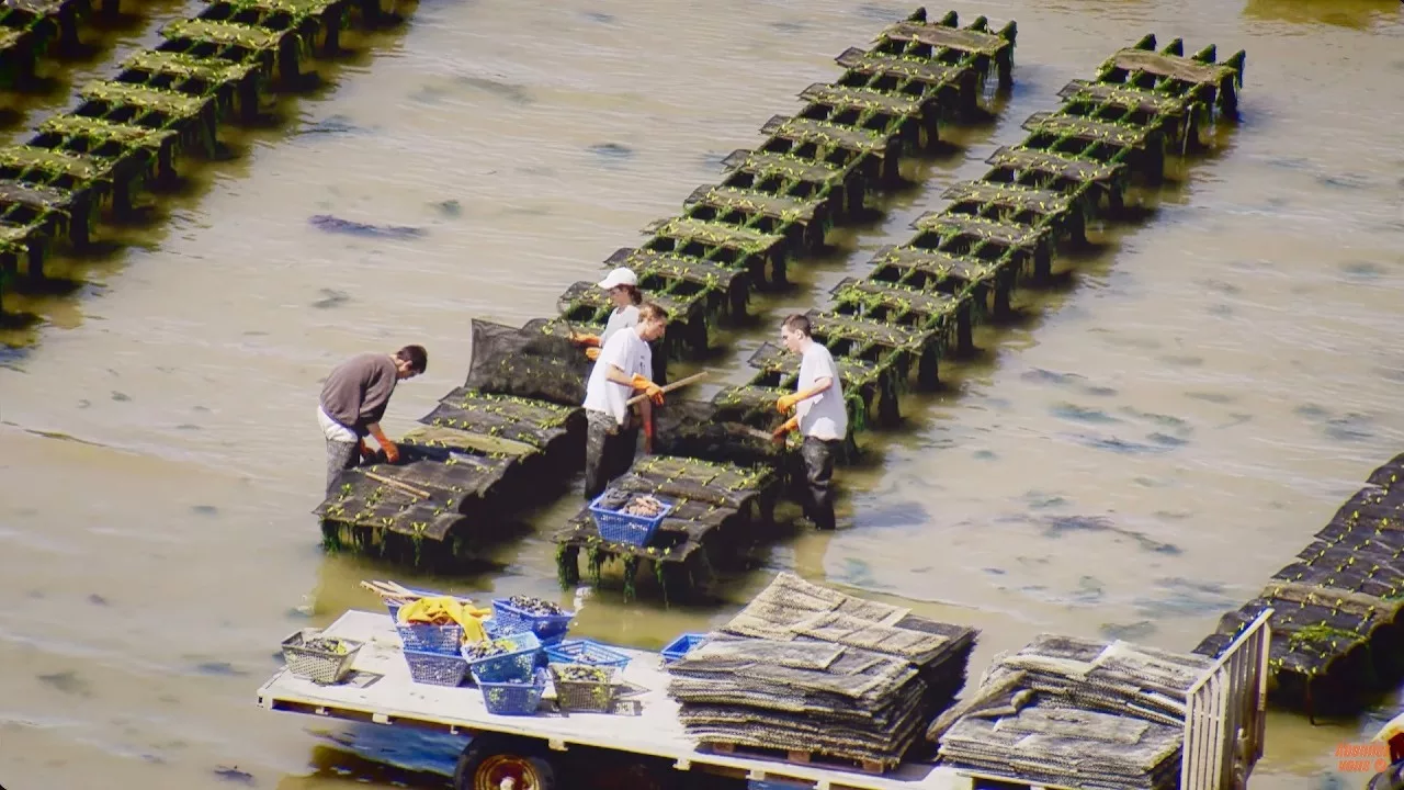 Documentaire La France par la côte: de Honfleur au Mont Saint-Michel