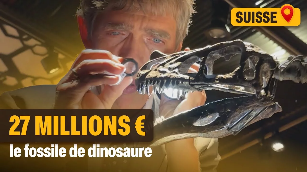 Documentaire Milliardaires : ils dépensent des millions en fossiles de dinosaures