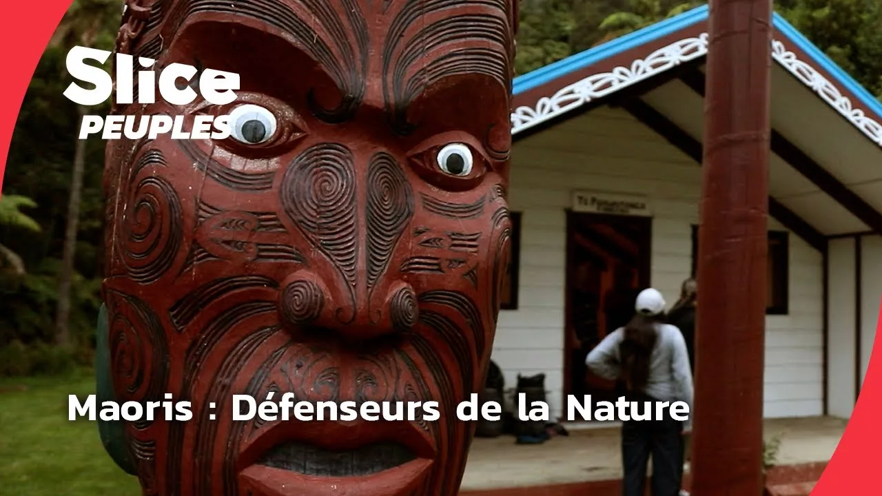 Documentaire Nouvelle-Zélande : la lutte des Maoris pour la protection de la nature