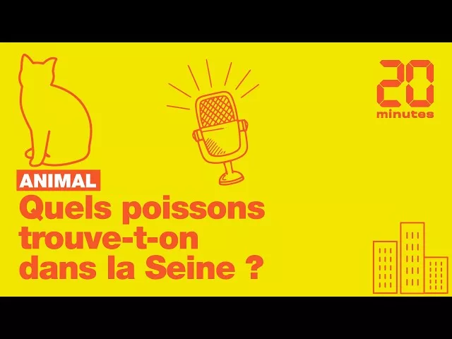 Quels poissons trouve-t-on dans la Seine ?