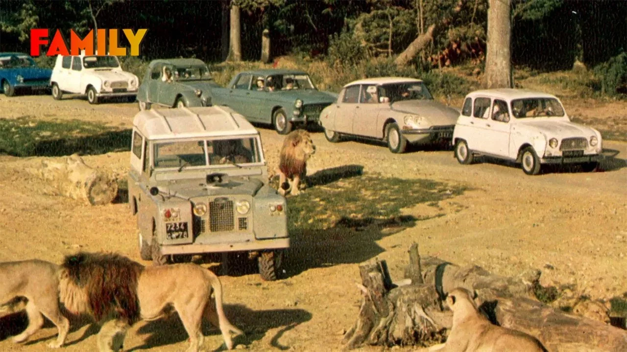 Zoo de Thoiry en famille : une expérience inoubliable !