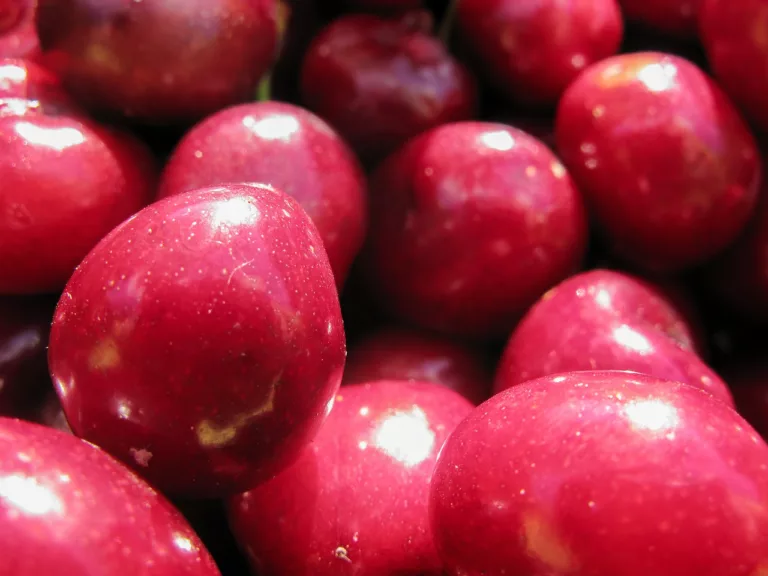 Article | Comment faire des cerises amarena ?